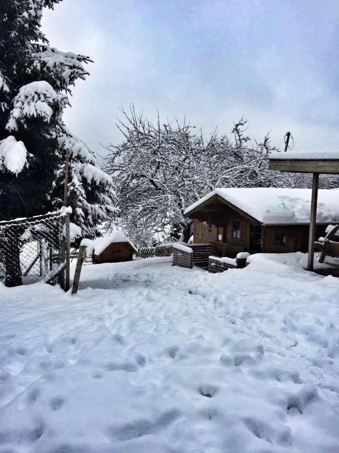 Apartment Gerda Sankt Georgen im Schwarzwald